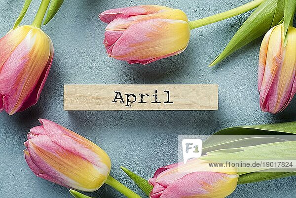 Ansicht von oben Tulpen Rahmen mit april tag. Auflösung und hohe Qualität schönes Foto