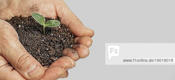 Hände halten Erde wachsenden Pflanze mit Kopie Raum. Auflösung und hohe Qualität schönes Foto