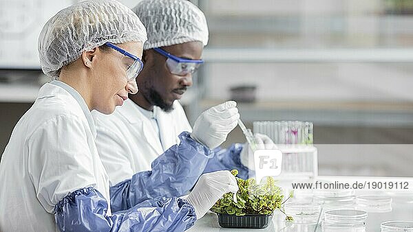 Seitenansicht Forscher Biotechnologielabor mit Pflanze. Schönes Foto