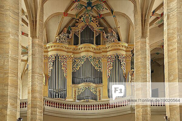 Gottfried Silbermann-Orgel im Dom St. Marien  romanisch  Innenansicht  Empore  Silbermannorgel  Freiberg  Sachsen  Deutschland  Europa