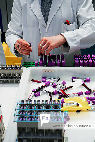 Technical platform of the Inovie 34 laboratory . Sorting sample tubes from other laboratories before dispatch with the automated sorter. The tubes will be directed according to the analyzes requested.