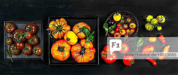 Presentation of old tomatoes in trays and basket.