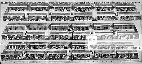 Innenansicht der Arche Noah mit den Tieren  die auf drei Decks in ihren Abteilen untergebracht sind  ca 1850  Historisch  digital verbesserte Reproduktion einer Vorlage aus der damaligen Zeit