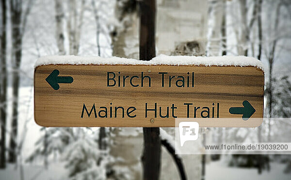 A wooden sign hangs on a tree and points the way toward specific trails at Maine Huts and Trails. Maine  New England.