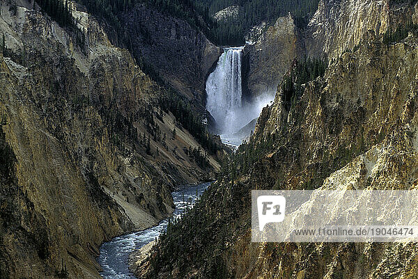 Lower Falls  Yellowstone National Park