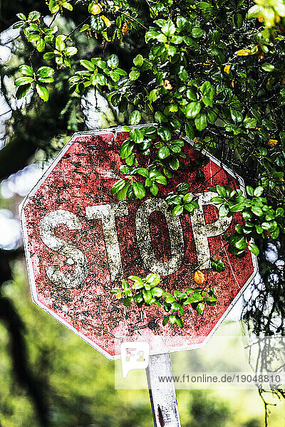 Old stop sign.