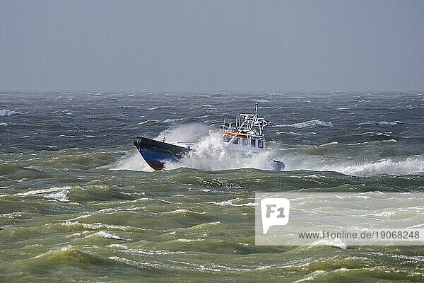Das Rettungsboot KNRM Jan van Engelenburg aus Hansweert patrouilliert bei stürmischem Wetter im Winter an der Nordseeküste von Zeeland  Niederlande  Europa