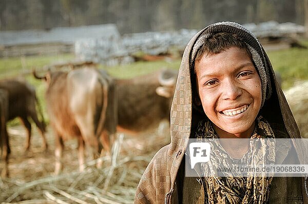 Dolpo  Nepal  ca. Mai 2012: Junger einheimischer Junge mit braunen Augen und braunen Haaren unter einer Kapuze mit Kühen im Hintergrund in Dolpo  Nepal. Dokumentarischer Leitartikel  Asien
