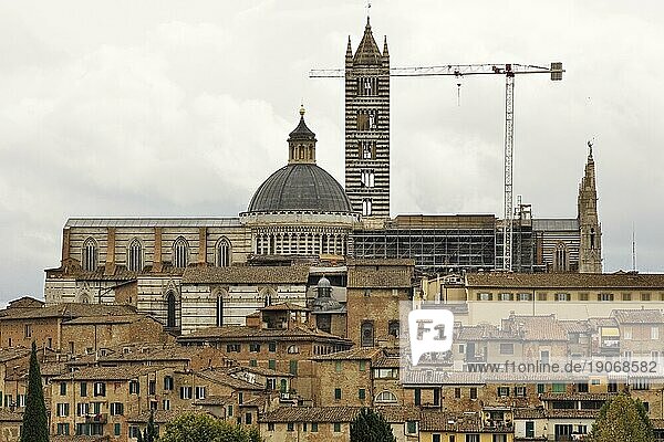 Der Dom von Siena in der Restaurierung
