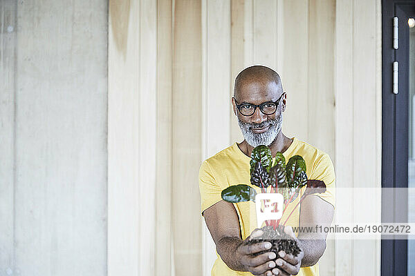 Portrait of smiling mature businessman holding plant in office