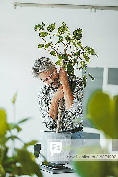 Senior businessman holding potted plant at office