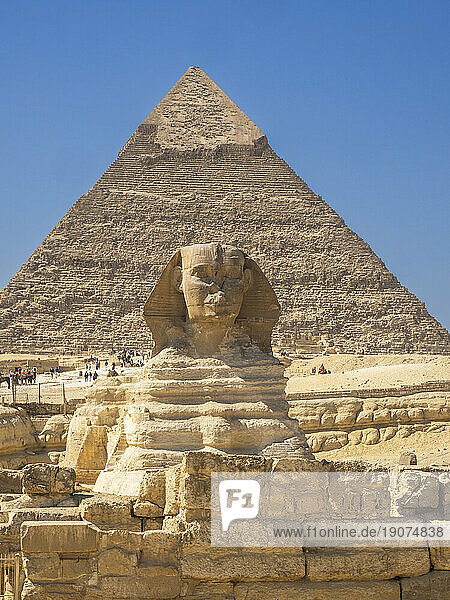 The Great Sphinx of Giza  a limestone statue of a reclining sphinx  UNESCO World Heritage Site  Giza Plateau  West Bank of the Nile  Cairo  Egypt  North Africa  Africa