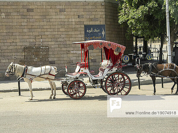A horse drawn carriage waiting for passengers at the Nubian Museum in the city of Aswan  Egypt  North Africa  Africa