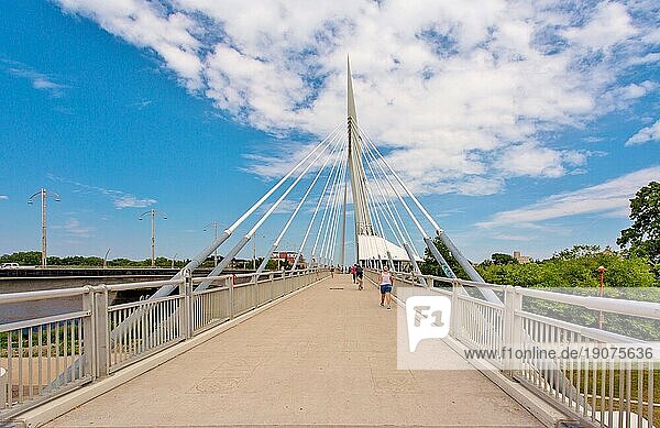 The Esplanade Riel suspended pedestrian footbridge over the Red River  completed 2003  linking central Winnipeg to St. Boniface district  Winnipeg  Manitoba  Canada  North America