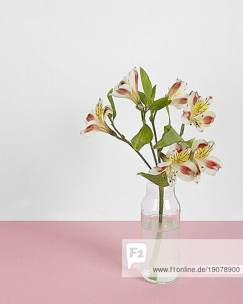 Blüte Blumen Vase Tisch 6