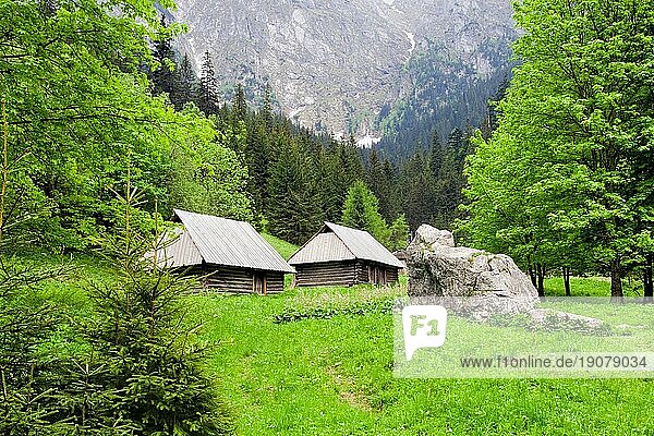 Strazynska Tal  ruhige Landschaft in der Tatra  Polen  Europa