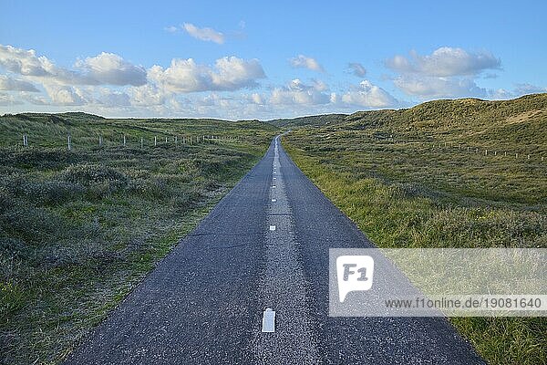 Fahrradweg  Sanddüne  Wolken  Amsterdamer Wasserleitungsdünen  Zandvoort  Nordsee  Nord Holland  Niederlande  Europa