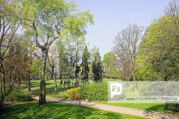 Der Sächsische Garten (Park Saski) im Frühling  ein öffentlicher Park in der Innenstadt von Warschau (Bezirk Srodmiescie)  Polen  Europa