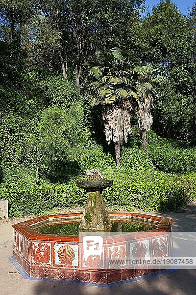 Springbrunnen in der ruhigen Landschaft des Montjuic Gartens in Barcelona  Katalonien  Spanien  Europa