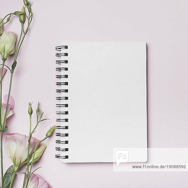 Blankospiralnotizbuch mit Eustoma Blumen vor rosa Hintergrund
