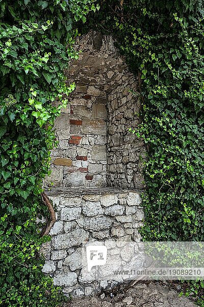 Geheime leere Nische umgeben von Schlingpflanzen in der Steinmauer einer mittelalterlichen Burg