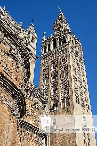 La Giralda  Glockenturm der Kathedrale von Sevilla in Spanien
