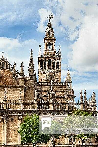 Gotische Architektur der Kathedrale von Sevilla mit dem Glockenturm La Giralda in Spanien  Region Andalusien
