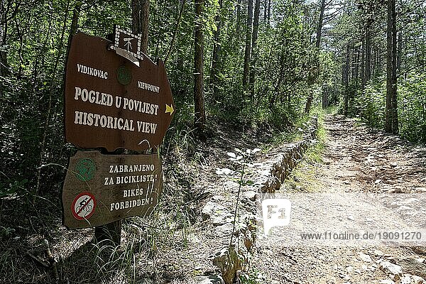 Naturbelassener Wanderweg durch den Wald im Nationalpark Paklenica in Norddalmatien. Paklenica Starigrad  Dalmatien  Kroatien  Südosteuropa  Europa