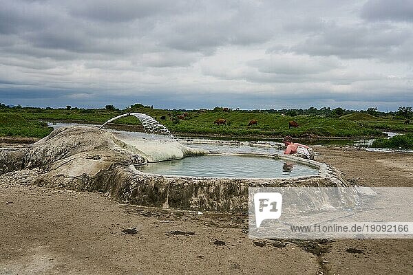 Tourist badet in Quellen von Amaghleba  Dikhashkho Sulfur Geyser  Schwefelquellen von Vani  Wani  heiße Schwefelquelle in freier Natur  vorne Kuhfladen  hinten der Fluss Rioni  Imeretien  Georgien  Asien
