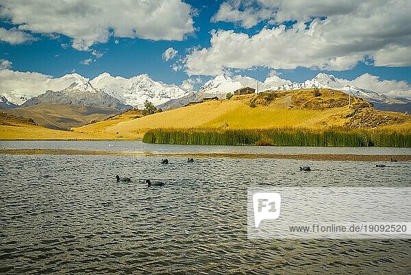 Foto eines Sees mit Enten mit großer Bergkette Cordillera Negra in der Ferne in Peru  Südamerika