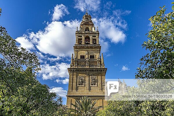 Glockenturm der Mezquita  Catedral de Córdoba in Cordoba  Andalusien  Spanien  Europa