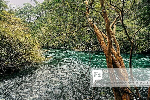 Malerischer Blick auf einen Fluss  der durch den Parque Nacional Vicente Perez Rosales fließt