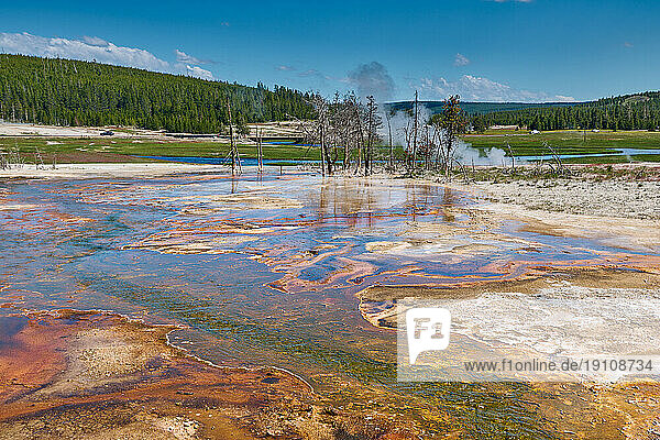 orange Bakterien im Biscuit Basin  Yellowstone-Nationalpark  Wyoming  Vereinigte Staaten von Amerika |orange bacteria in Biscuit Basin  Yellowstone National Park  Wyoming  United States of America|