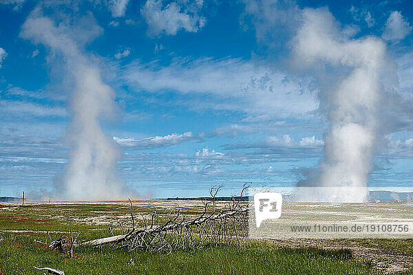 Wasserdampf ueber dem Midway Geyser Basin  Yellowstone-Nationalpark  Wyoming  Vereinigte Staaten von Amerika |steam over Midway Geyser Basin  Yellowstone National Park  Wyoming  United States of America|