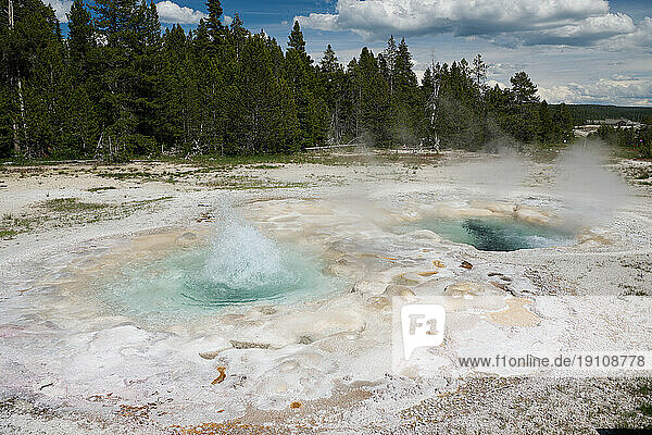 Spasmodic Geyser, Upper Geyser Basin, Yellowstone-Nationalpark, Wyoming, Vereinigte Staaten von Amerika |Spasmodic Geyser, Upper Geyser Basin, Yellowstone National Park, Wyoming, United States of America|