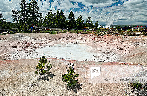 Fountain Paint Pot,  Yellowstone Lower Geyser Basin,  Yellowstone-Nationalpark,  Wyoming,  Vereinigte Staaten von Amerika |Fountain Paint Pot,  Yellowstone Lower Geyser Basin,  Yellowstone National Park,  Wyoming,  United States of America|