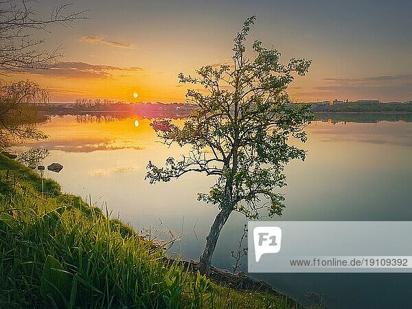Sonnenuntergang Szene am See mit einem einzelnen Baum am Ufer. Lebendiger Sonnenuntergang  der sich im ruhigen Wasser des Teiches spiegelt. Idyllische Frühlingslandschaft