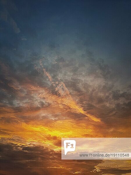 Herbst Sonnenuntergang Himmel. Vertikale Hintergrund  verschiedene farbige und geformte Wolken und Schwärme von Zugvögeln fliegen. Oktober saisonalen himmlischen Schönheit. Panorama Abenddämmerung Wolkenlandschaft Szene
