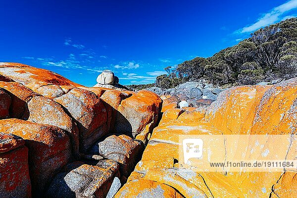 Little Elephant Bay auf dem Skeleton Bay Walk Humbug im Point Nature Recreation Area in der Bay of Fires an der Binalong Bay  Australien  Ozeanien