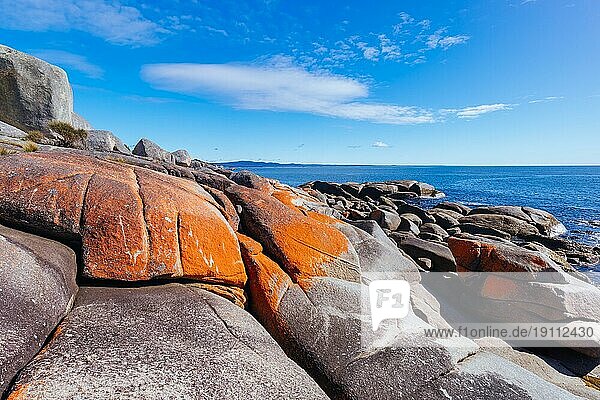 Mit Flechten bedeckte Felsformationen auf dem Skeleton Bay Walk Humbug im Point Nature Recreation Area in der Bay of Fires an der Binalong Bay  Australien  Ozeanien