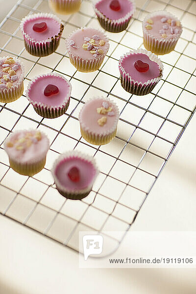 Cupcakes on airing tray