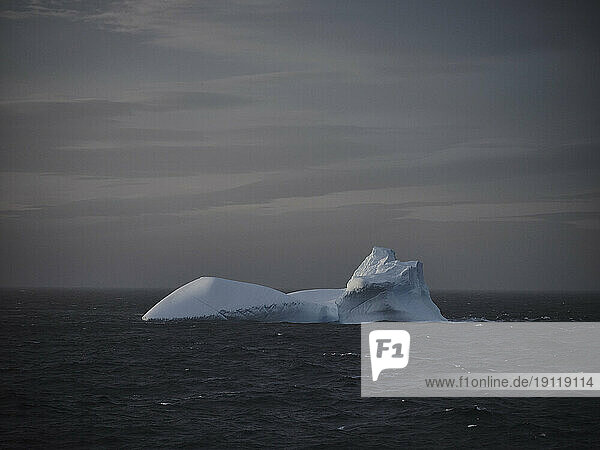 Iceberg formation on ocean surface off Antarctic Peninsula  Weddell Sea  Antarctica