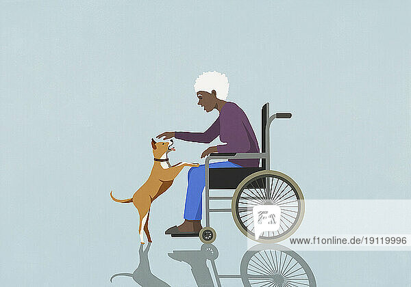 Senior woman in wheelchair petting cute dog