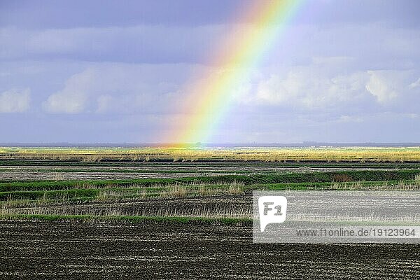 Regenbogen  ein Blick auf die Landschaft auf dem Feld. Entstehung des Regenbogens nach dem Regen. Brechung des Lichts und Ausdehnung in Bezug auf die Spektren