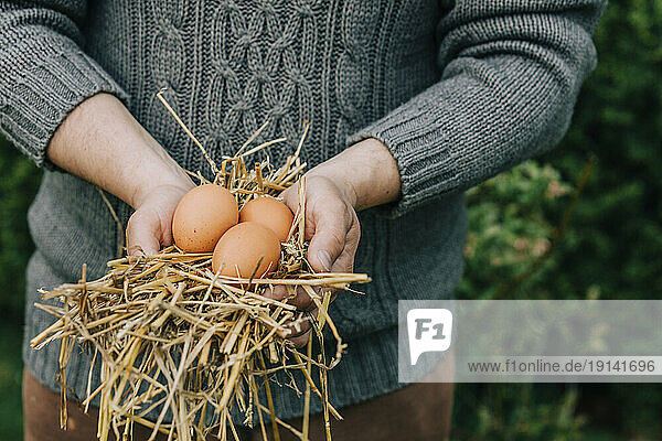 Man in sweater holding newly laid eggs with hay