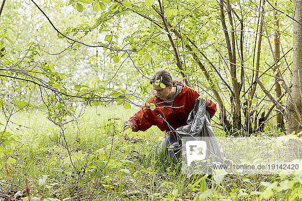 Volunteer collecting garbage in bag amidst trees at forest
