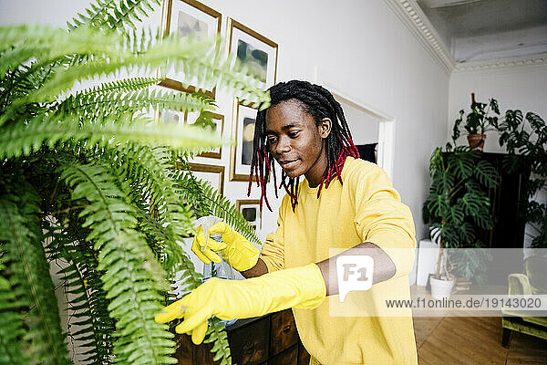 Young man spraying water on plant at home