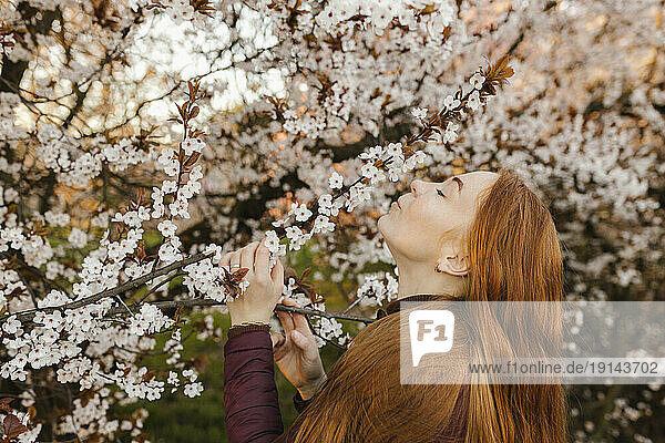 Woman smelling flowers on tree at park