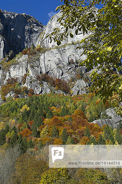 Europe  Italy  Lombardy  Valtellina  Val di Mello  S. Martino  foliage