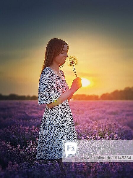 Seitenansicht Porträt einer jungen Frau in Lavendelfeld hält einen Pusteblumen Löwenzahn gegen den Sonnenuntergang Hintergrund. Natürliche Sommerdämmerung Szene